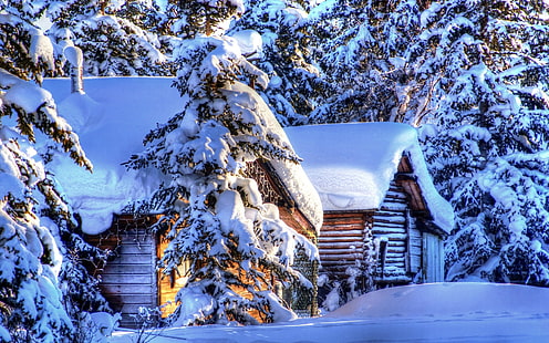 Аляска зимен пейзаж, сняг, гора, смърч, хижи, Аляска, зима, пейзаж, сняг, гора, смърч, хижи, HD тапет HD wallpaper