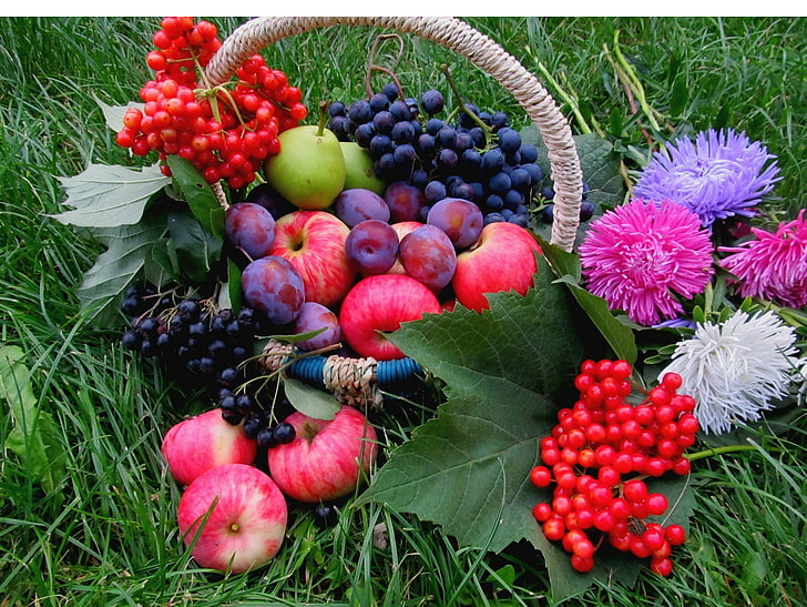 背景、草、花、食品、バスケット、緑、グレープ、ベリー、収穫、果物、リンゴ、バンチ、ドレン、 HDデスクトップの壁紙