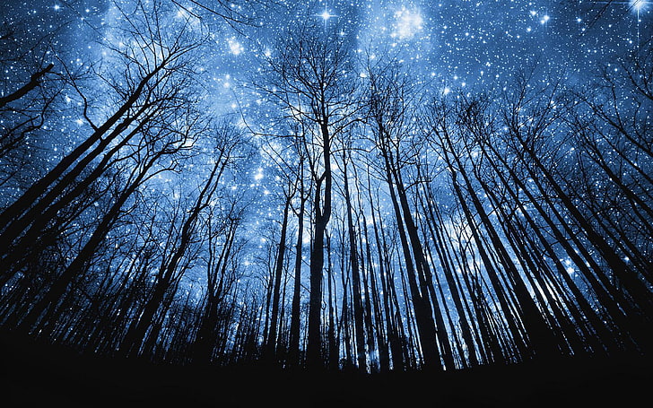 Beautiful Wallpaper Hd Night Sky Stars 3840×2400, HD wallpaper