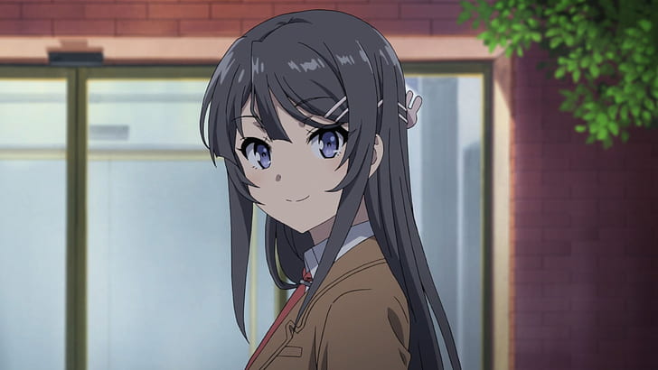 Anime, Rascal non sogna Bunny Girl Senpai, Blue Eyes, Grey Hair, Mai Sakurajima, Uniforme scolastica, Sfondo HD