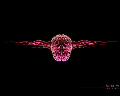 ศิลปะ, มนุษย์, สมอง, วอลล์เปเปอร์ HD HD wallpaper