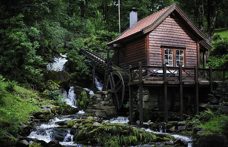 cabaña de madera marrón, bosque, casa, río, molino, Fondo de pantalla HD