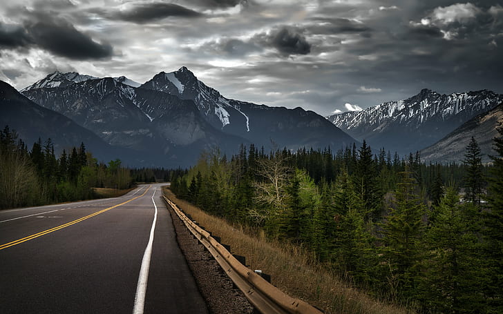 Jasper, Alberta, foresta, Canada, strada, alberi, Montagne Rocciose, montagna, canadese, Sfondo HD