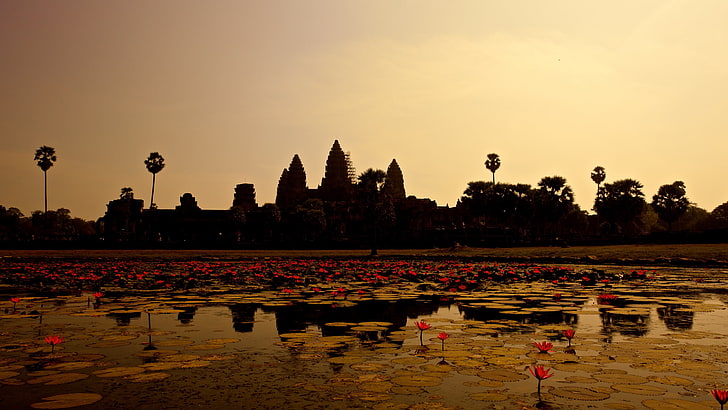 cambodge, siem reap, angkor, matin, lotus, fleurs de lotus, paysage, tourisme, étang, ville, réflexion, temple, lever du soleil, aube, angkor wat, soir, silhouette, krong siem reap, eau, ciel, Fond d'écran HD