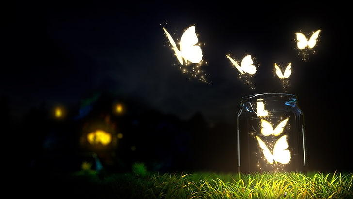 tarro de cristal transparente, mariposa, noche, luces, arte de fantasía, hierba, vidrio, Fondo de pantalla HD