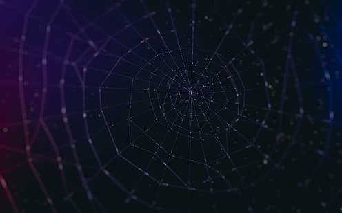 jaring laba-laba, jaring laba-laba, minimalis, seni digital, karya seni, Wallpaper HD HD wallpaper