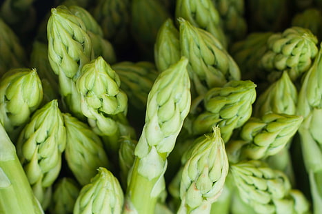 asparagus, close up, delicious, food, fresh, green, grow, healthy, market, vegetable, HD wallpaper HD wallpaper