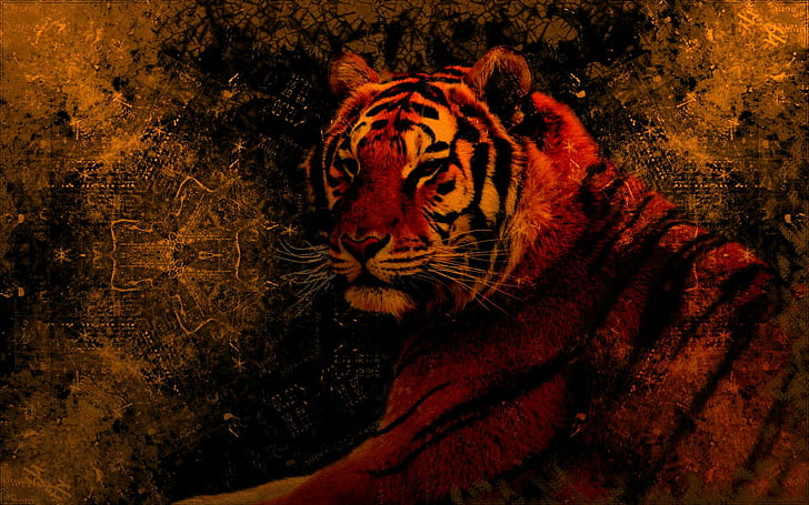 Grungy Tiger ، جميل ، نمر ، grungy ، بري ، الجرونج ، حيوان ، حيوانات، خلفية HD