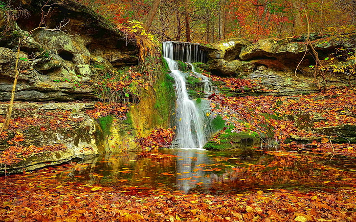 wallpaper aliran air, musim gugur, indah, berwarna-warni, jatuh, dedaunan, hutan, daun, indah, alam, batu, ketenangan, aliran, air terjun, Wallpaper HD