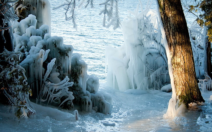 ต้นไม้สีน้ำตาลโซ่ตรวนน้ำแข็งเย็นน้ำแข็งฤดูหนาวพุ่มไม้ต้นไม้แม่น้ำ, วอลล์เปเปอร์ HD
