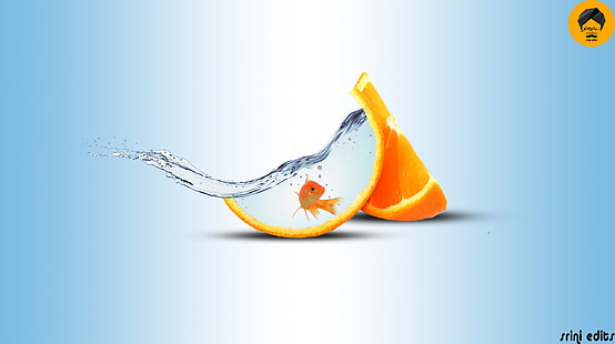 fish, water, orange (fruit), splashes, HD wallpaper HD wallpaper