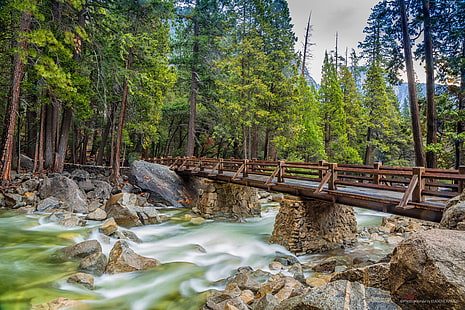 gunung, 4k, 5k, jembatan, 8k, OSX, hutan, apel, Yosemite, Wallpaper HD HD wallpaper