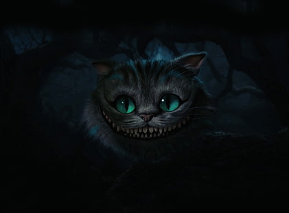 Cheshire Cat, Alice im Wunderland, Cheshire Cat, Filme, Alice im Wunderland, Cheshire Cat, Alice im Wunderland-Film 2010, Stephen Fry als Cheshire Cat, HD-Hintergrundbild HD wallpaper