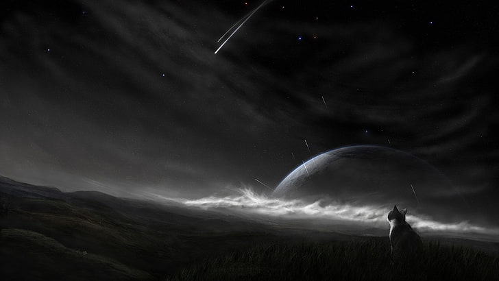 ภาพประกอบแมวและดวงจันทร์, แมว, กลางคืน, ดวงดาว, วอลล์เปเปอร์ HD