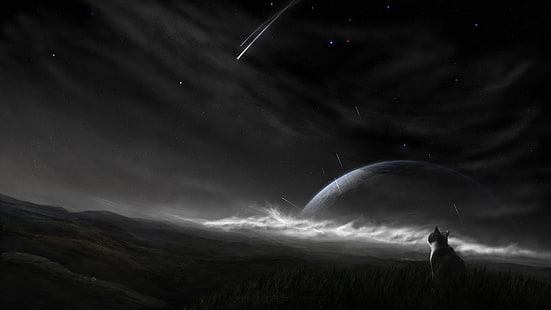 ภาพประกอบแมวและดวงจันทร์, แมว, กลางคืน, ดวงดาว, วอลล์เปเปอร์ HD HD wallpaper