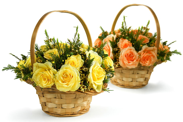 dos flores rosas amarillas y anaranjadas, rosas, amarillo, naranja, árbol de té, cestas, composición, Fondo de pantalla HD