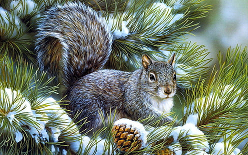 Eichhörnchen in einer Kiefer, Eichhörnchen, künstlerisch, 1920x1200, Kegel, Kiefer, Eichhörnchen, HD-Hintergrundbild HD wallpaper