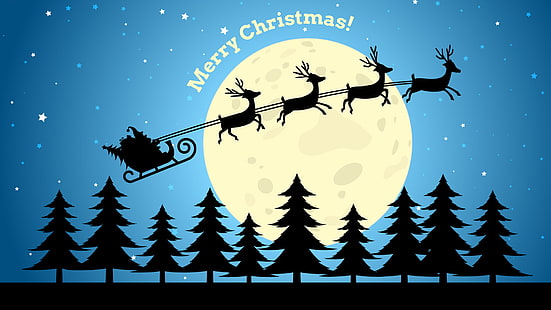 Merry Christmas 2012 HD, mutlu noeller duvar kağıdı, christmas, 2012, mutlu noeller, HD masaüstü duvar kağıdı HD wallpaper