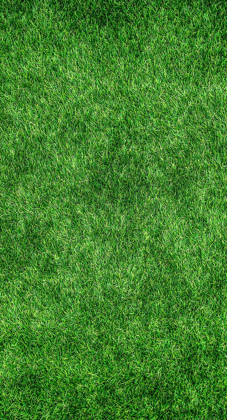 Lawn, grass, green, thick, surface, HD wallpaper | Wallpaperbetter