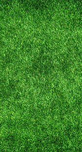 rumput, rumput, hijau, tebal, permukaan, Wallpaper HD HD wallpaper