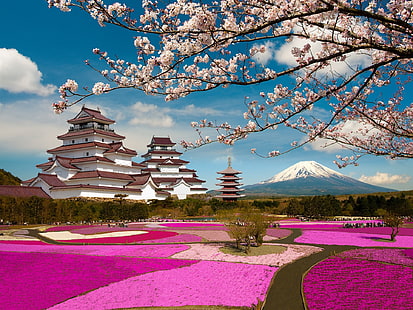 Castelo de Aizuwakamatsu, Fukushima, Japão, flores de cerejeira, parque, Aizuwakamatsu, Castelo, Fukushima, Japão, Cereja, Flores, Parque, HD papel de parede HD wallpaper