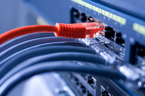 czerwony, niebieski, kable, sieci i telekomunikacja, Tapety HD HD wallpaper