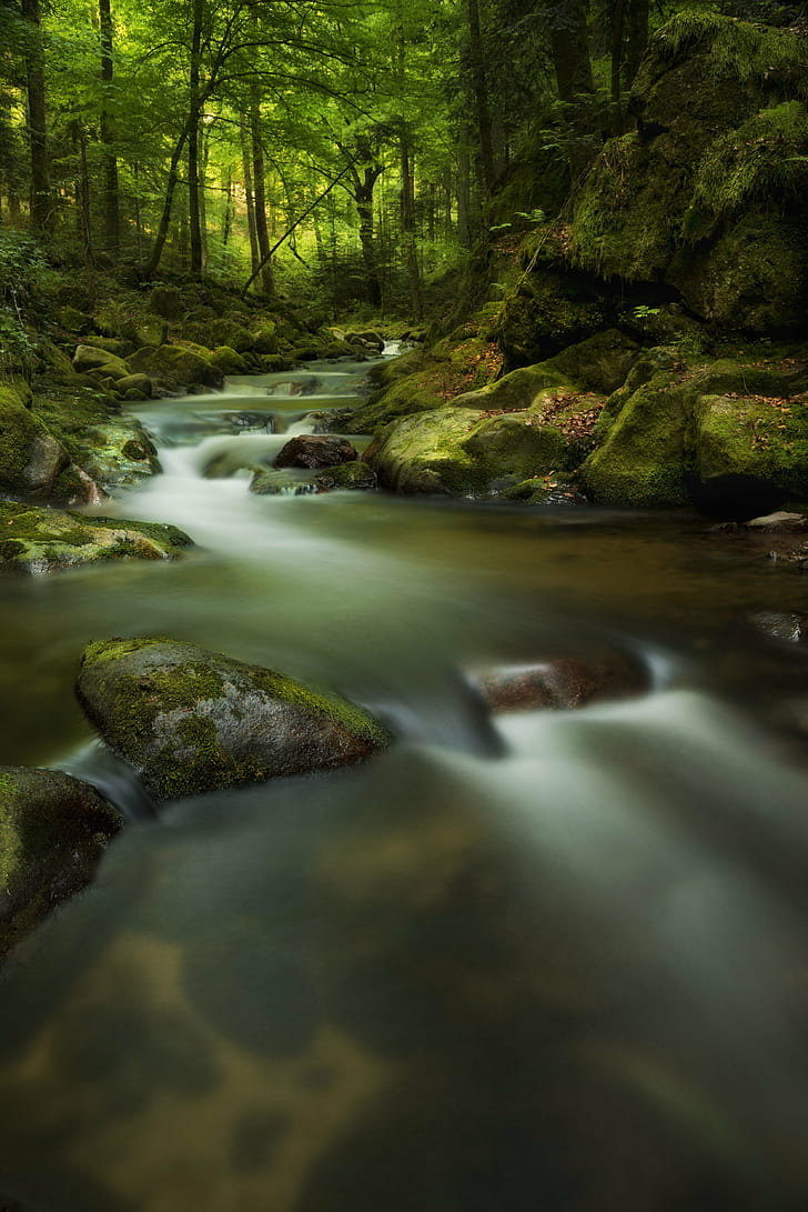 flowing river inside jungle during daytime, Nature, Beauty, river, jungle, daytime, Wasserfall, Bach, creek, longexposure, Nikon, water, clean  clear, wild, Wald, waterfall, Baden  Baden, Baden-Württemberg, Württemberg  Baden, Baden-Baden, cascades, frozen, stream, forest, tree, rock - Object, landscape, outdoors, scenics, green Color, freshness, beauty In Nature, flowing Water, HD wallpaper