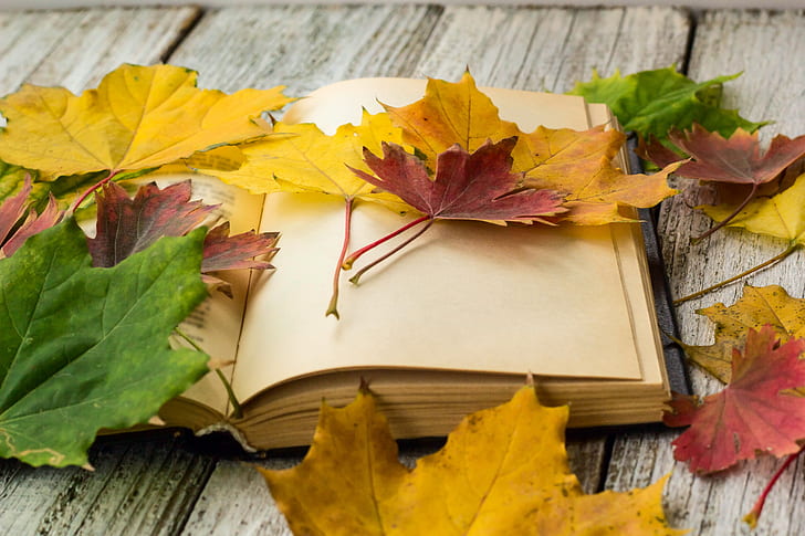 autumn, leaves, background, colorful, book, maple, wood, HD wallpaper