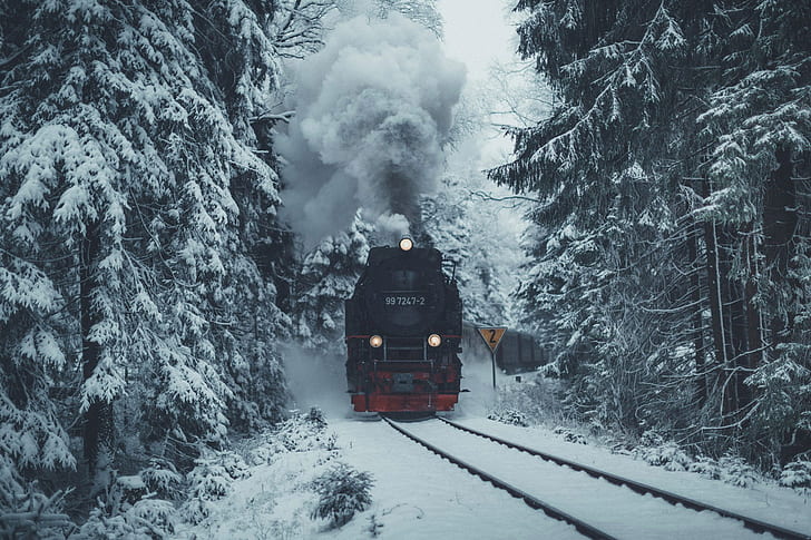 nature, hiver, chemin de fer, arbres, train, neige, épicéa, forêt, Fond d'écran HD