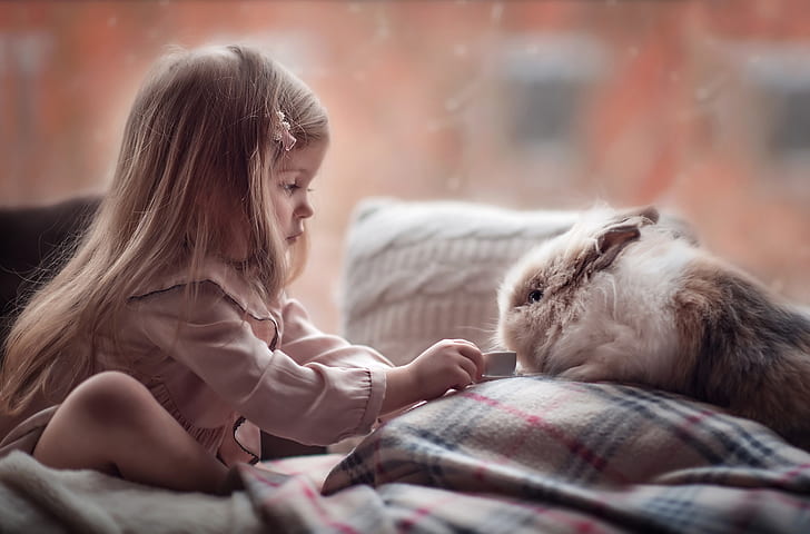 Photography, Child, Girl, Little Girl, Rabbit, HD wallpaper