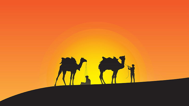 Deserto, 4K, Silhueta, Camelos, Pôr do sol, HD papel de parede
