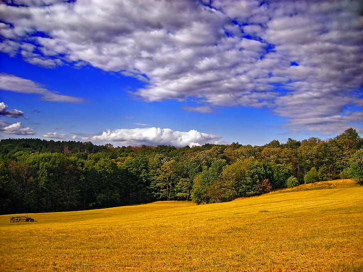 brown grass field leading to forest under stratus clouds, Edge Effect, brown, grass, field, forest, stratus clouds, Pennsylvania, Monroe County, Barrett Township, Seven Pines, Mountain, Poconos, landscape, altocumulus, stratocumulus, rural, summer, creative commons, nature, outdoors, rural Scene, tree, meadow, sky, hill, scenics, blue, cloud - Sky, agriculture, HD wallpaper