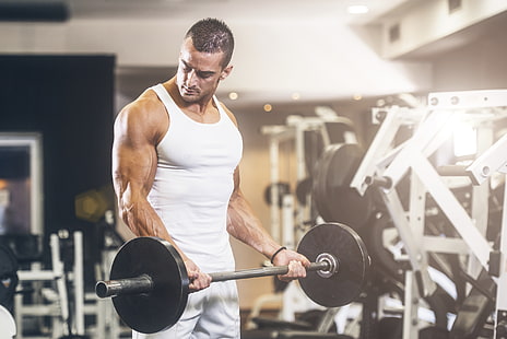 Muskeln, Fitness, Fitnessstudio, Bodybuilder, HD-Hintergrundbild HD wallpaper