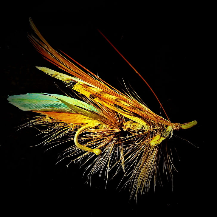 beautiful, brooch, colorful, container art, fantasy, fly fishing, from feather, insect imitation, jewelry fly, salmon fly, HD wallpaper