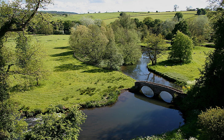 naturaleza, río, puente, Fondo de pantalla HD
