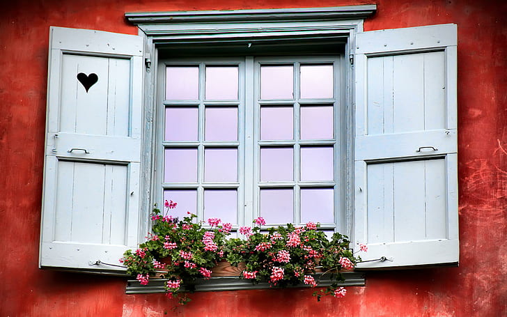 Love Window, gray wooden window, architecture, facade, planter, window, beautiful, flowers, shutters, animals, HD wallpaper