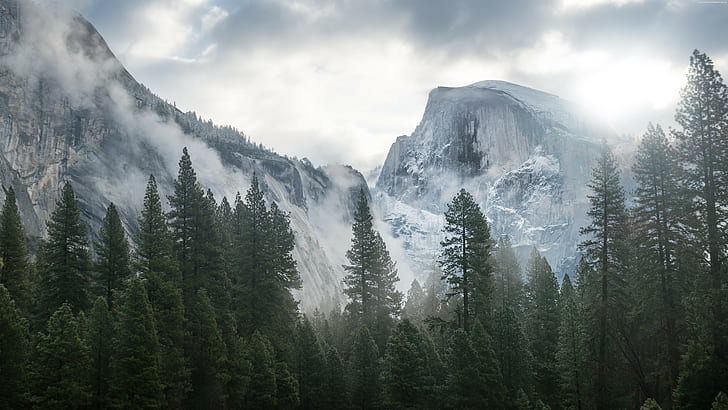 5k, montaña, bosque, niebla, Fondo de pantalla HD