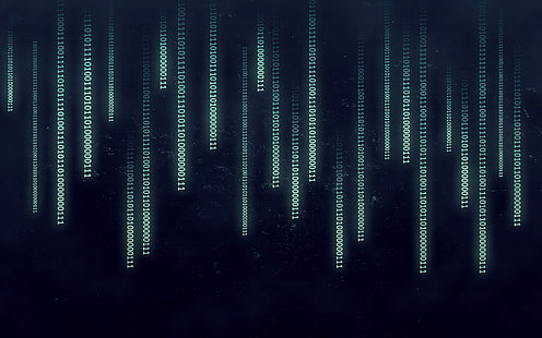 svart bakgrund med binär textöverlägg, utan titel, The Matrix, binär, abstrakt, minimalism, filmer, digital konst, HD tapet HD wallpaper