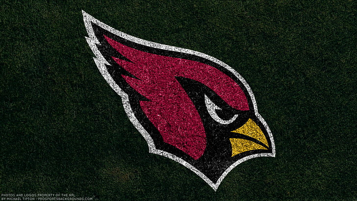 Piłka nożna, Arizona Cardinals, godło, logo, NFL, Tapety HD