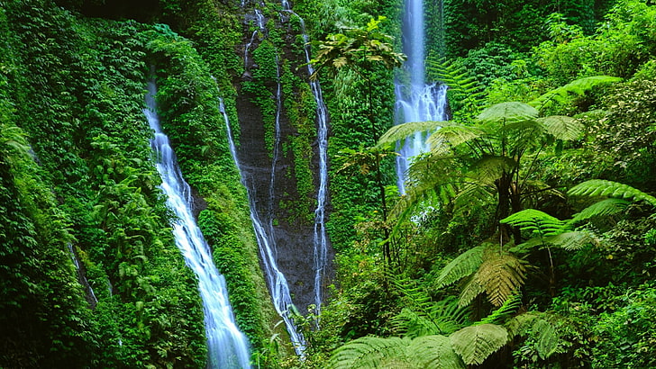 Waterfall, vegetation, nature, water, green, body of water, watercourse, HD  wallpaper | Wallpaperbetter
