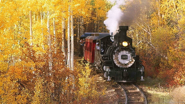 Cuyahoga Valley Steam Train In Autumn, forest, tracks, steam, train, autumn, cars, HD wallpaper