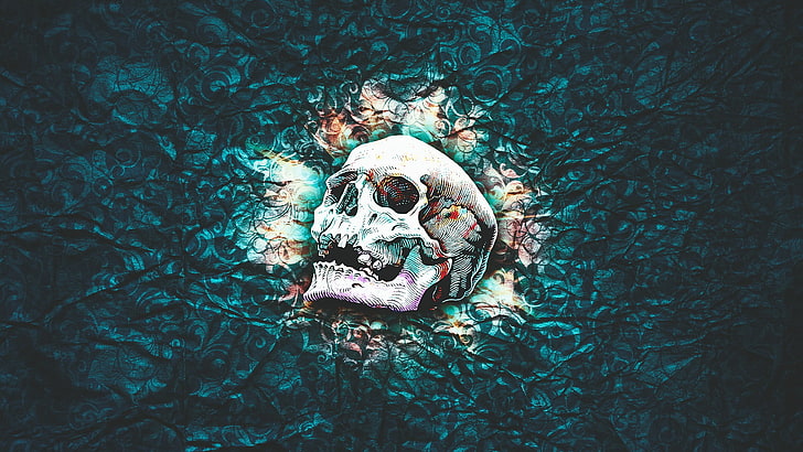 white and teal skull painting, skull, skull and bones, abstract, pattern, texture, colorful, HD wallpaper