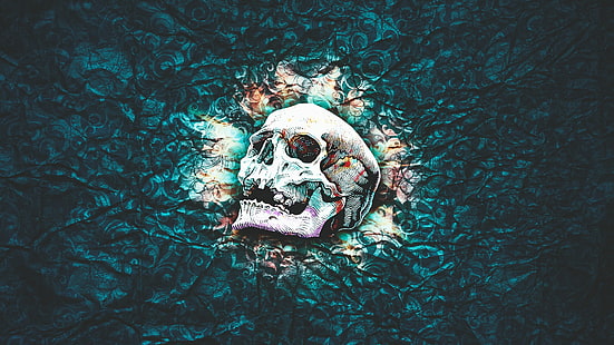 biało-turkusowy obraz czaszki, czaszka, czaszka i kości, abstrakcja, wzór, tekstura, kolorowy, Tapety HD HD wallpaper