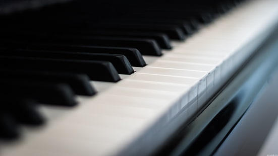 Tasteninstrument, Klavier, Musikinstrument, Tastatur, Gerät, Instrumentalität, HD-Hintergrundbild HD wallpaper