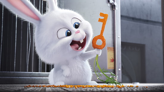 Geheimes Leben der Haustiere Schneeball, der Karottenschlüsselfilmszene, Filme, Kaninchen, das geheime Leben der Haustiere hält, HD-Hintergrundbild HD wallpaper