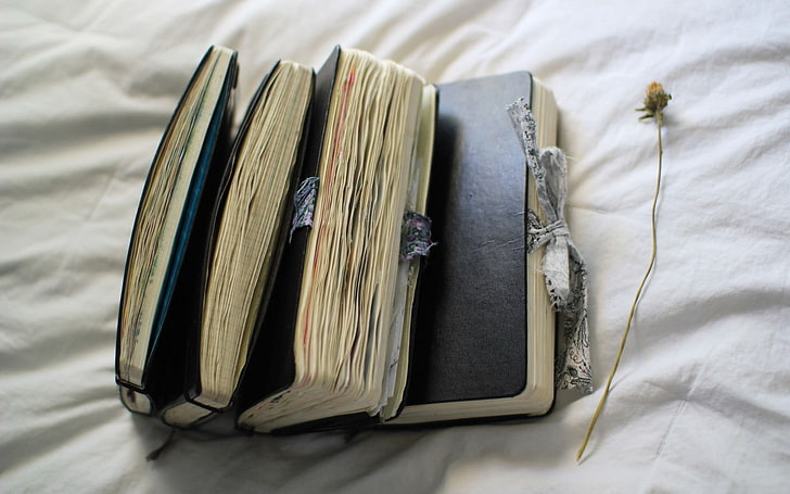 четири черно покрити книги, настроение, книга, дневник, страници, списъци, панделка, растение, цвете, HD тапет