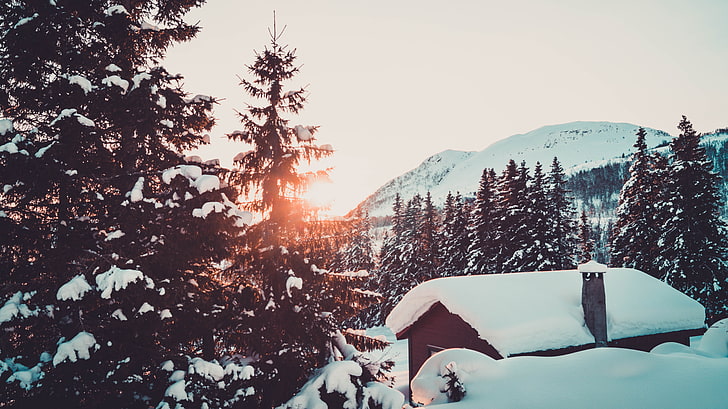 grüne Kiefer, Schnee, Winter, Kiefern, Berge, Kabine, Wald, Norwegen, Sonnenstrahlen, Morgen, HD-Hintergrundbild