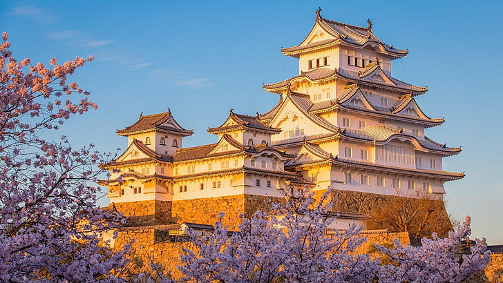 drzewo, wiosna, Azja, pałac, pałac, Japonia, plamka kwitnącej wiśni, architektura japońska, kwiat wiśni, zamek himeji, zamek, budynek, sakura, atrakcja turystyczna, niebo, punkt orientacyjny, miejsce historyczne, Tapety HD
