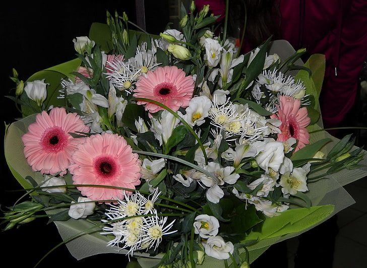 흰색과 분홍색 꽃잎 꽃, 거베라, 꽃, 꽃다발, 장식, 아름다움, HD 배경 화면