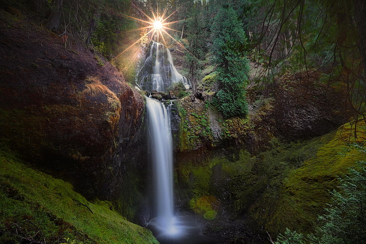 forest, the sun, nature, waterfall, USA, Washington, Falls Creek Falls, Falls Creek, Gifford Pinchot National Forest, Carson, HD wallpaper